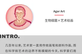 改变人类历史进程的细菌艺术图片