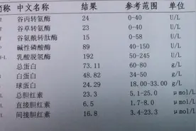 解读肝功及腹部超声的报告图片
