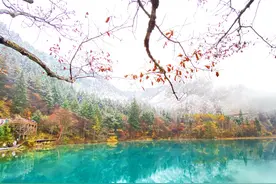 九寨沟之旅（景区游玩攻略）图片