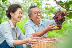 66岁大妈：晚年不再婚，和亲家公搭伙生活，日子过得幸福又舒心图片