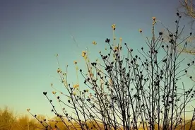 我60了，去独生女儿家养老，看透了3个扎心真相，想给你提个醒图片