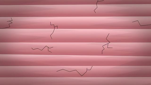 肌肉是如何生长的？