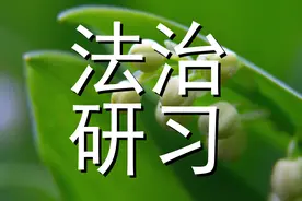 讼争百年的“真应庙”祀产案始末图片