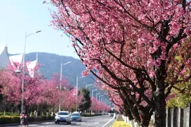 总是被人忽略的城市，享有“春城”美誉的避暑胜地—昆明（攻略）图片