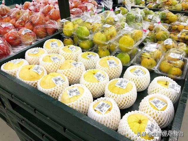 小众水果芭乐，又被茶饮店们带火了，最全芭乐说明书