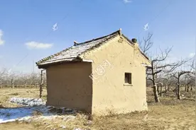 关于拆除田间地头苹果园房子的感想图片