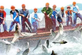 中国渔民有多猛？没有编制和武器，却让外国间谍船闻风丧胆图片