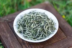 信阳毛尖好在哪里？为什么知名度比不上其他茶叶？图片