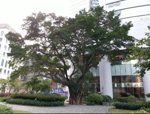 位于金钟的太古广场原来也有冷知识!