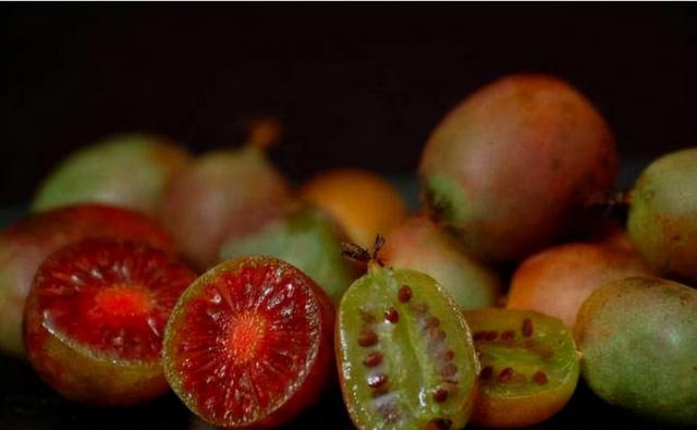 若你家乡还有它们，请你保护起来，不要让外人采挖，市场行情不错