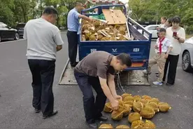 战友上班时间“公然摆摊”卖榴莲，工作群炸锅！图片