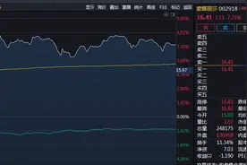 蒙娜丽莎盘中差一分钱涨停 老高解读介入理由图片