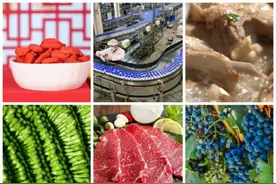 宁夏： 名特优新农产品交出助农兴农优质“答卷”图片