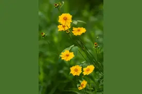 人到中年，最好的时光，就是活好当下，珍惜人生中的所有遇见图片