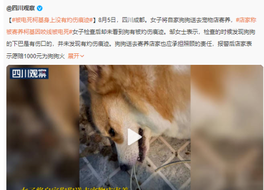 真的有暴利行业?从现象看本质,盘点10个有趣的创业赚钱投资项目