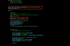 如何限制 NGINX 中的连接数（请求数）- Part1图片