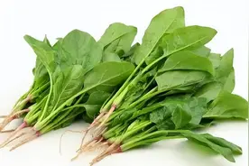 菠菜焯水的正确方法，2种焯水技巧，吃出美味又健康！图片