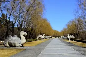 南口镇、十三陵神路周边要进行整治提升了图片