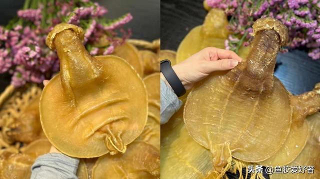 便宜花胶与贵花胶的区别 2026年便宜花胶与贵花胶的区别在哪