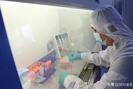 全国首个！徐州这个研究项目厉害了！图片