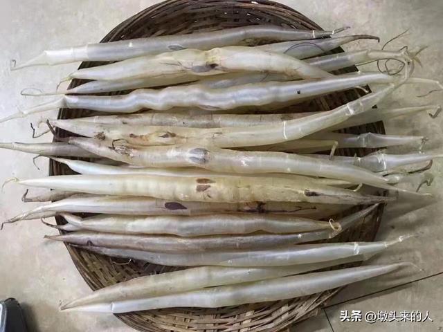 海麻鱼胶多少钱一斤 海麻鱼胶多少钱一斤合适