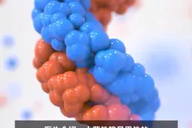 匪夷所思！20岁女孩从未来例假一查竟是男儿身图片