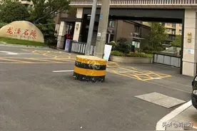 仪征市龙泽名苑正门咋就杵上一根电线杆图片