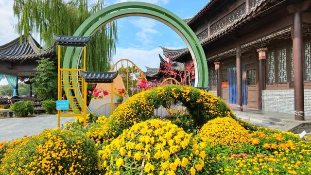 待到重阳日，还来开封赏菊花