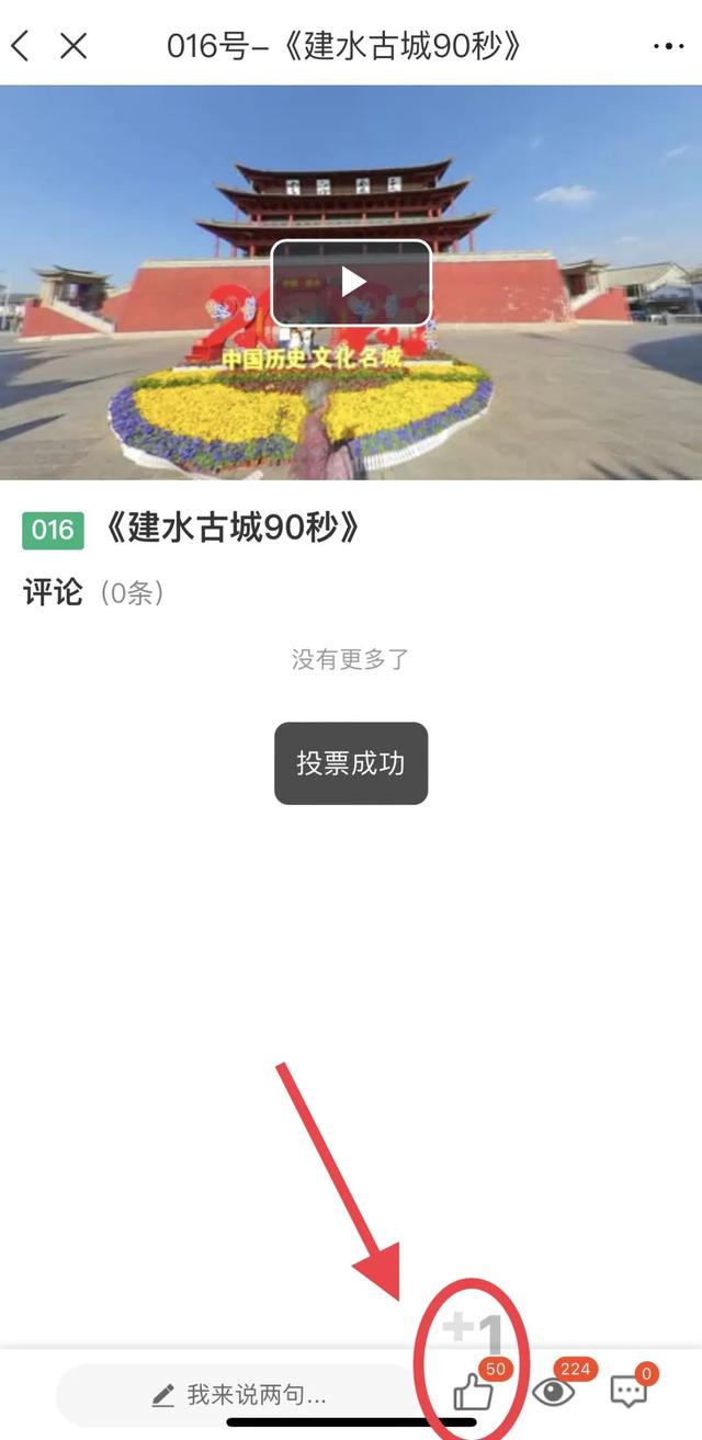 ͶƱΪˮ