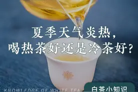 夏季天气炎热，喝热茶好还是冷茶好？图片