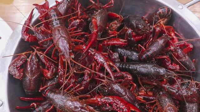小龙虾怎么做好吃小龙虾简单又好吃的做法（喜欢吃小龙虾却不会做）