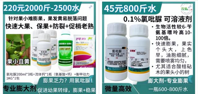 6鏈堢鐞嗭綔鑴辫偉涓ラ噸鑶ㄦ灉鎱㈡垚棣栬闂锛佹灉涓ぇ灏忓樊璺濆ぇ锛岃灗铏梾澶? onerror=