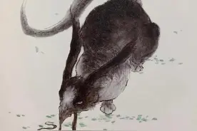 国学《山海经》东山二经——犰狳，胆子就像“缩头乌龟”图片