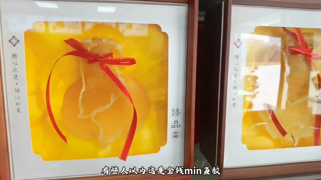 花胶是制造视频 2026年花胶是制造视频还是音频 花胶是制造视频 2026年花胶是制造视频还是音频