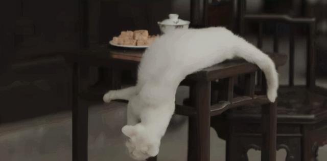 垫底只有2.5分，盘点2021国产烂剧TOP10，你没看过算我输