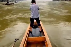 快舟，激流，抢大鱼！福建水库泄洪，众多老乡架舟捞鱼，鱼王72斤图片