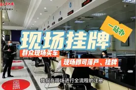 关注民生 |“小型移动车管所”进驻315车展图片