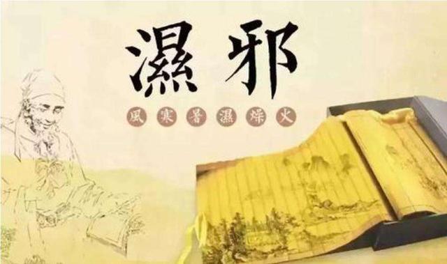 中满分消丸的功效是什么?（湿气重）