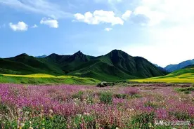 【散文】祁连山的变迁图片
