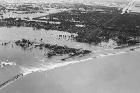 1942河南大饥荒真实影像，曾禁播70年，啃树皮吃野草饿死三百万人图片