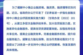一图读懂：甘肃省进一步强化金融支持中小微企业纾困发展实施方案图片
