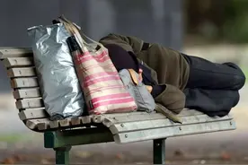 曾经4000万一只，如今白送也没人要！最大市场泡沫吹破了图片