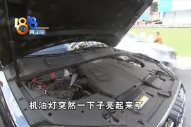 奥迪Q7常备机油 车主“忍忍”有条件图片