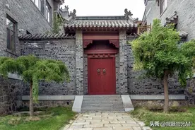 “家有青龙树，后代一直富”，什么是“青龙树”，有什么依据吗？图片