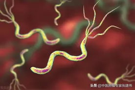 近一半的胃癌与这个细菌有关，超半数国人感染，这几类人赶紧治图片