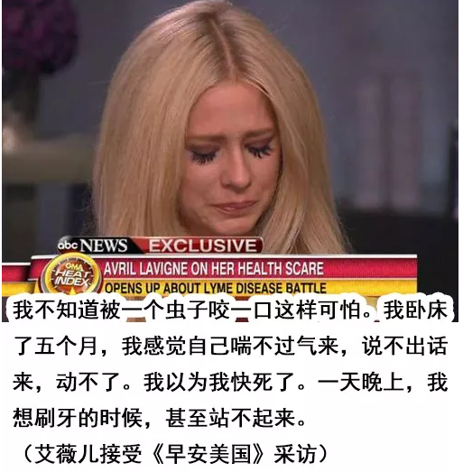 蜱虫被称为“夺命虫”危害有多大？大连女子被咬，一周后不幸身亡