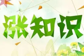 涨知识，流落张家口的这种长嘴鸟竟然是国家二级保护动物图片