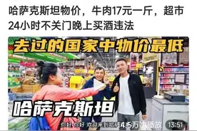 推荐一些在国外旅行的中国视频博主图片
