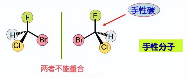 D型与L型糖、醇、氨基酸的说明