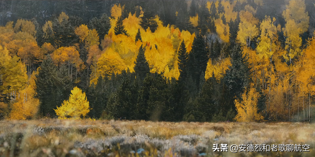 凄美惊艳的人性哀歌：关于《吉巴罗》几个容易被误解的小知识